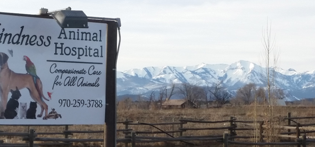 Kindness animal hospital banner