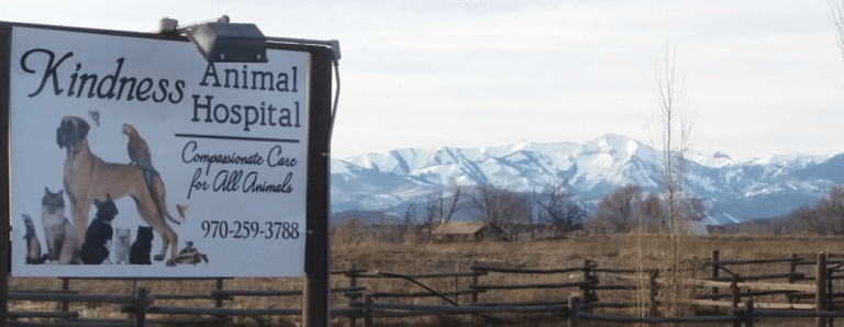Welcome to Kindness Animal Hospital